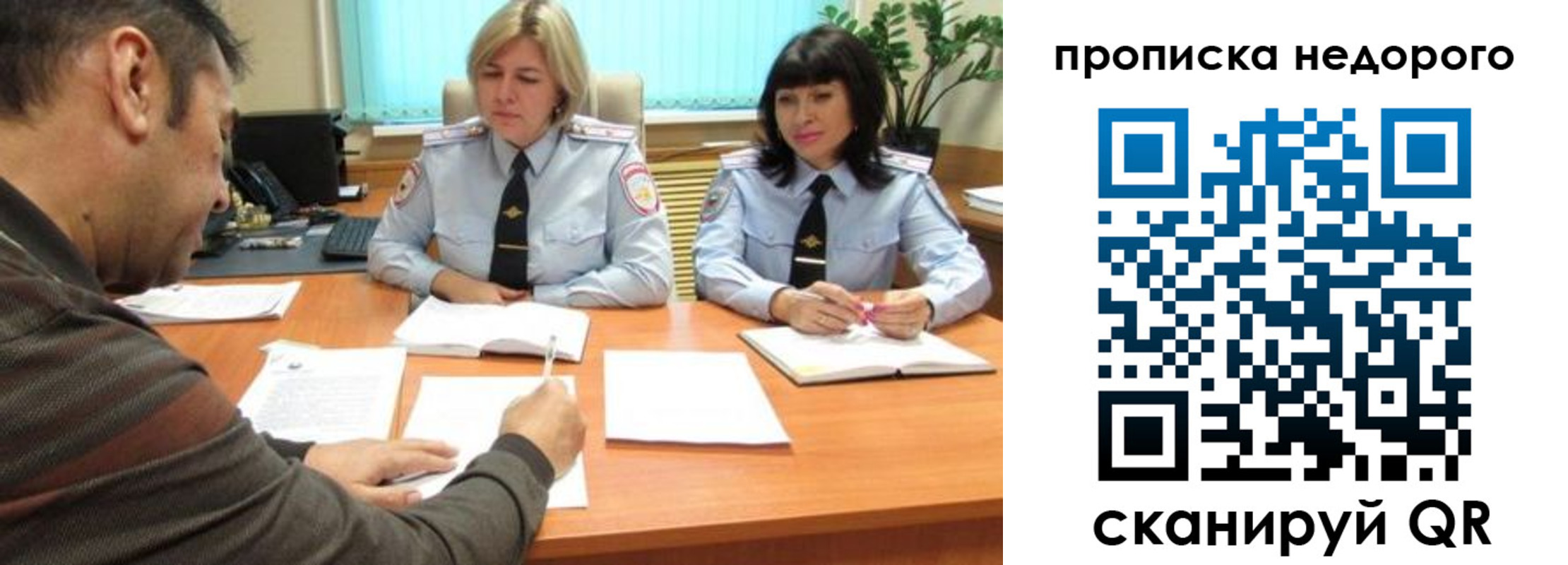 прописка поиск в Шебекино